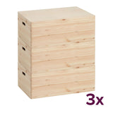 Holzkiste mit Deckel 60x40x24 cm Zeller